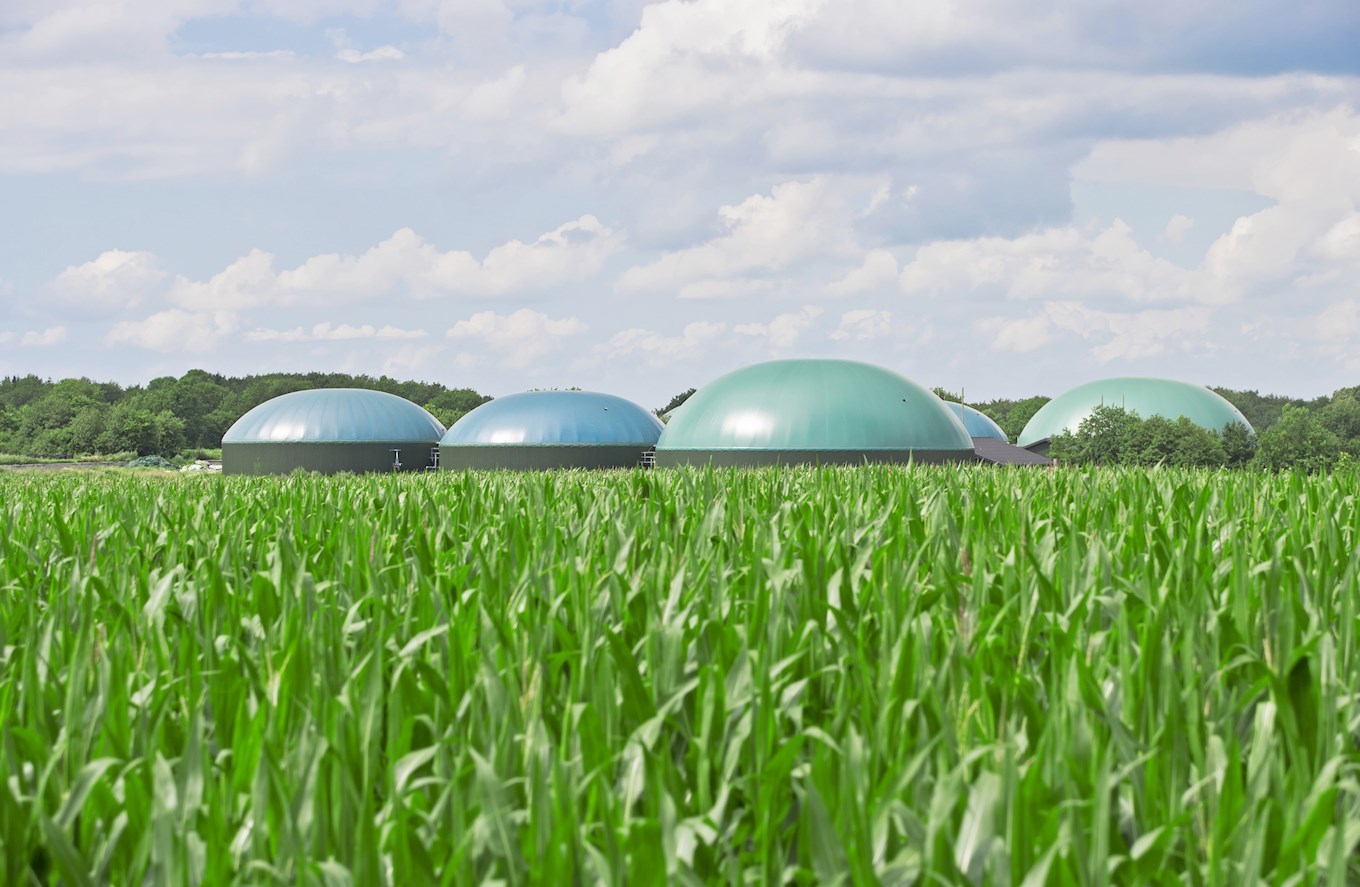 Biogasproduktion