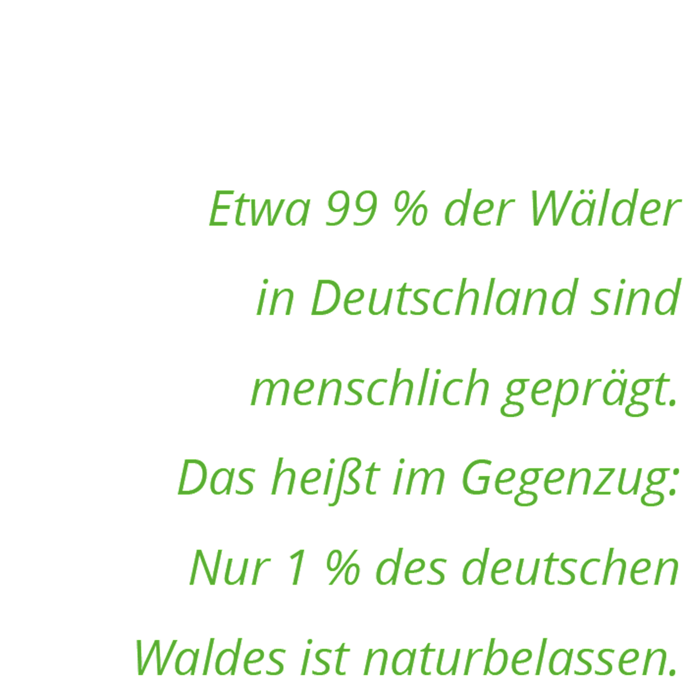 Klimawald-Wald-Deutschland