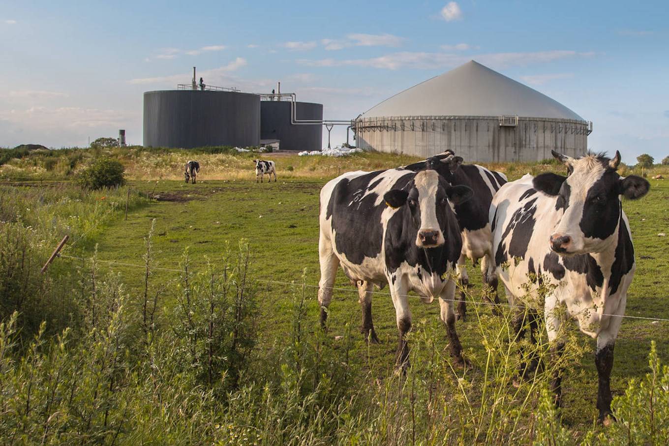 Biogas umweltfreundlich