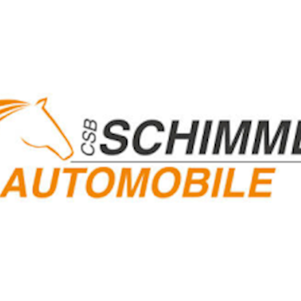 Elektro-Mobilität e-Autohaus-Partner Schimmel Automobile