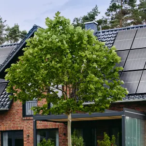 Schwarze Solarpanele auf dem Dach eines Einfamilienhauses. Bild mit KI erstellt.