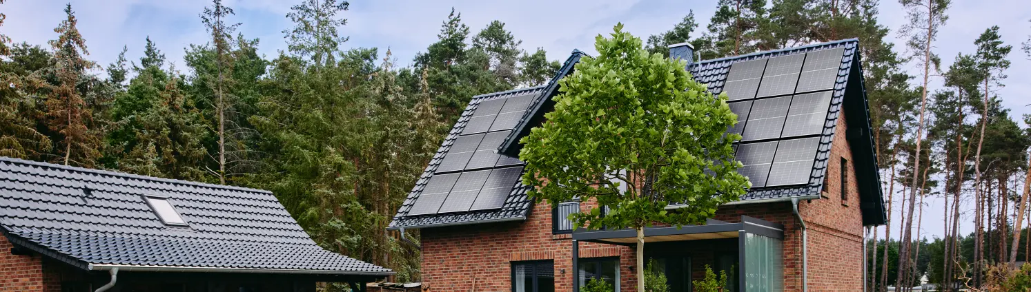 Baum steht vor einem Einfamilienhaus mit Solarpanelen