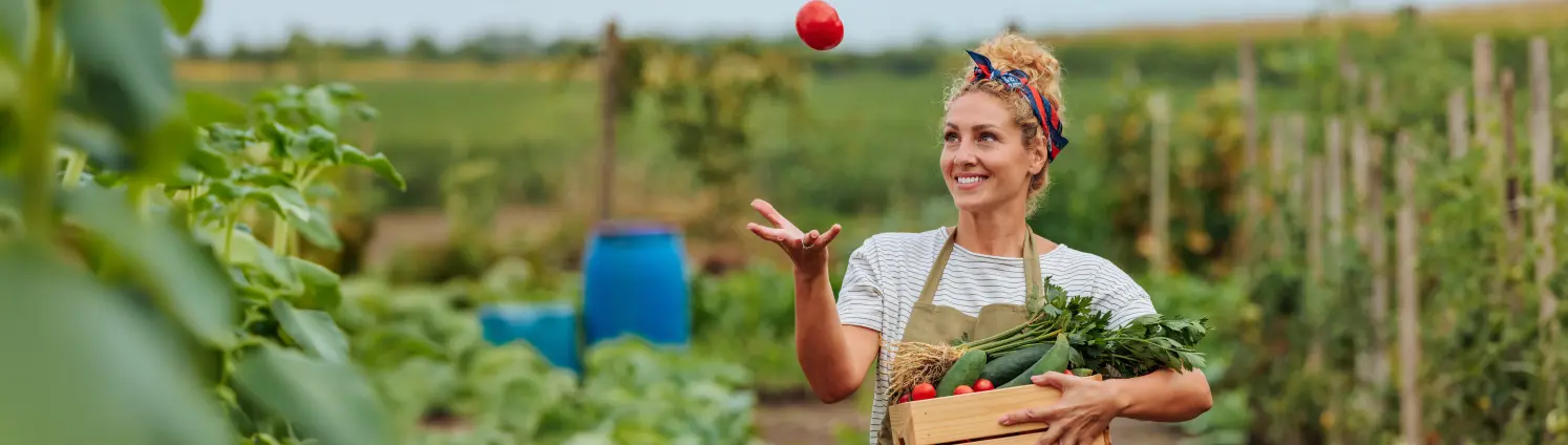Person auf einem Gemüsefeld wirft eine Tomate in die Höhe und hält eine Holzkiste mit frisch geerntetem Gemüse wie Zucchini, Tomaten und Kräutern.