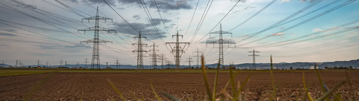 Industriestrom: Hochspannungsleitungen an Strommasten auf einem grünem Feld bei Sonnenuntergang.