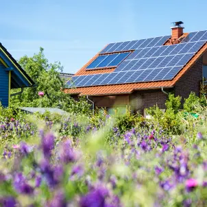 Einfamilienhaus auf blühender Wiese mit Photovoltaikanlage auf dem Dach